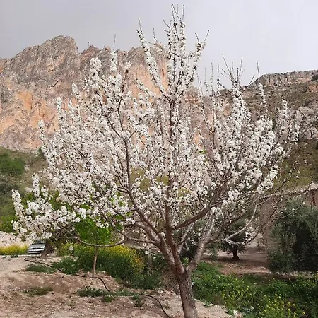 Cortijo El Chorreadero En Parque Natural Sierra De Cazorla Сasa de vacaciones *